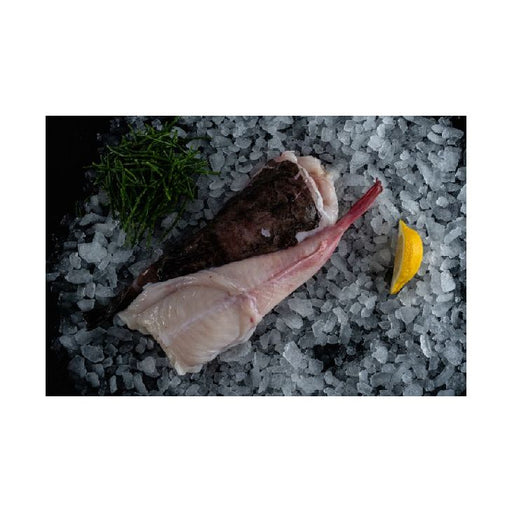 RGM Seafood Fresh Monkfish Fillet per KG