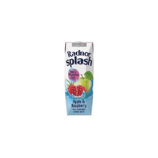 Radnor Splash Still Apple & Raspberry Flavoured Water 500ml Carton, 24pk