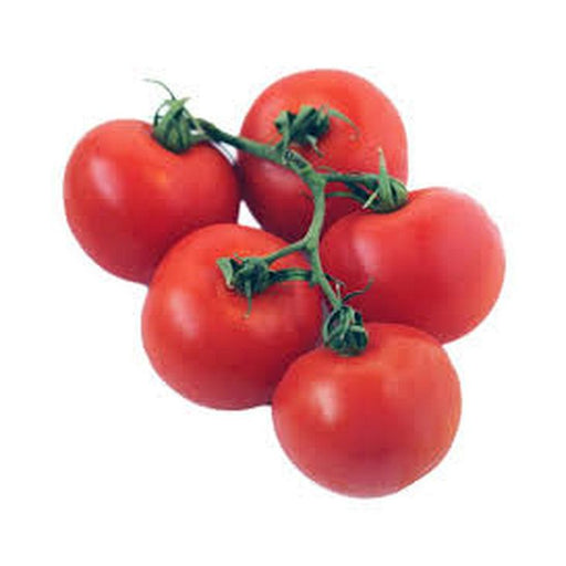 JP Tomatoes Large Vine/kg