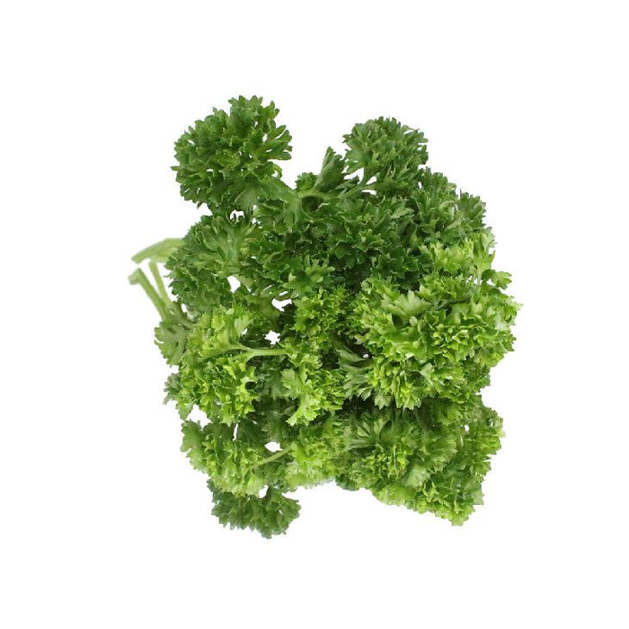 JP Fresh Parsley Curly 50g