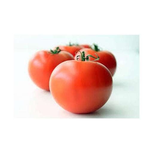JP Tomatoes Salad/kg