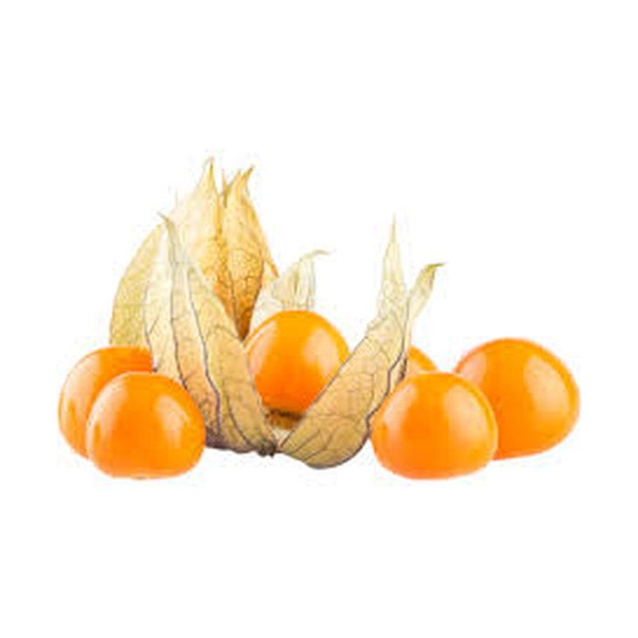 JP Physalis punnet