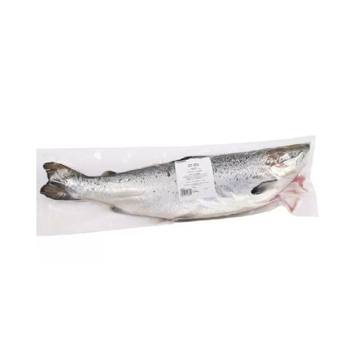 KS Fresh Whole Salmon approx 2-3kg - per kg