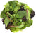 JP Baby Leaf Salad 125g bag