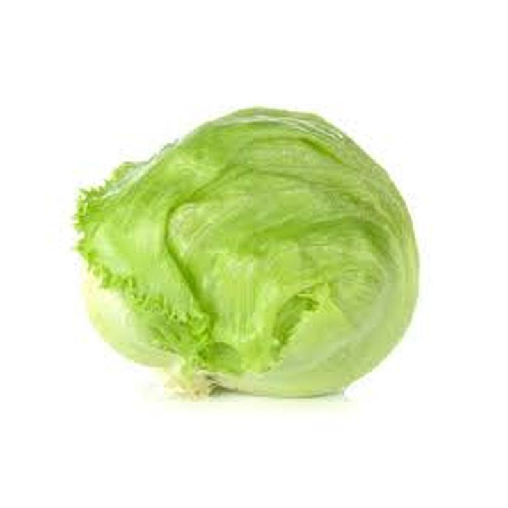 JP Lettuce Iceberg  each