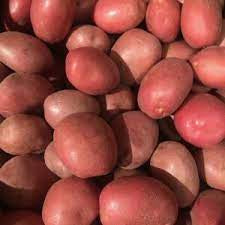 JP Potatoes Washed Reds - sack 12.5kg